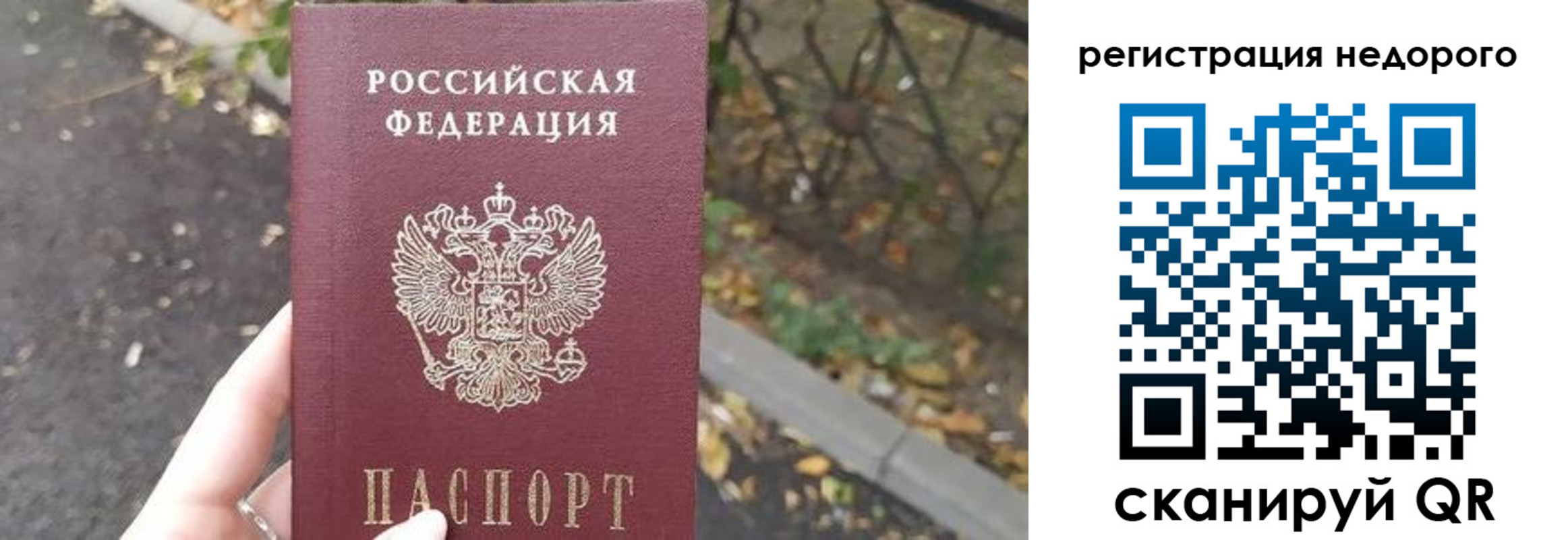 временная регистрация надежно в Куртамыше